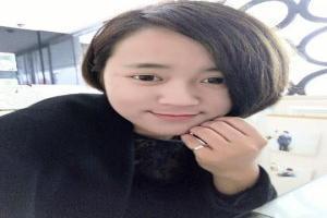 迅猛龙乐高